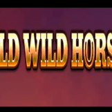 Wild Wild Horses logo