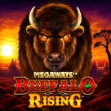 Buffalo Rising Megaways Logo
