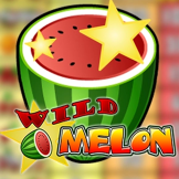 Wild Melon Logo