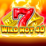 Wild Hot 40 Logo