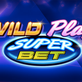 Wild Play Logo