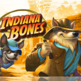 Indiana Bones Logo