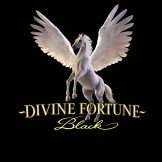 Divine Fortune Black Logo