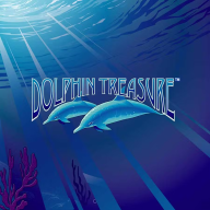 Dolphin Treasure Logo
