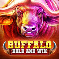 Buffalo Hold and Win Logo