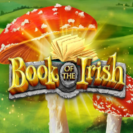 Book Of The Irish Logo