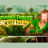 Sherwood Forest Fortunes logo