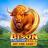 Bison Fortune Coins Logo