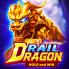 Rail Dragon Logo