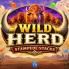 Wild Herd Stampede Stacks Logo