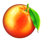 Orange Bild