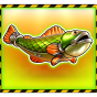 Fish Bild
