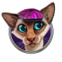 Cat 4 Bild