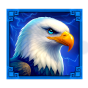 Eagle Bild