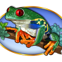 Frog Bild