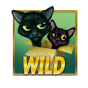 Wild Bild
