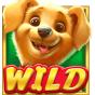 Wild Bild