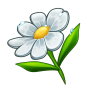Flower Bild