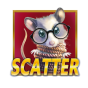 Scatter Bild