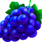 Grape Bild