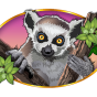 Lemur Bild