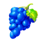 Grapes Bild