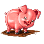 Pig Bild