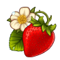 Strawberry Bild