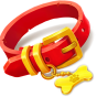 Collar Bild