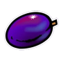 Plum Bild
