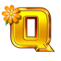 Q Bild