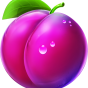 Plum Bild