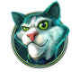 Cat 2 Bild