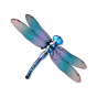 Dragonfly Bild