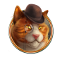 Cat 1 Bild