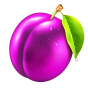 Plum Bild