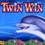 Twin Win Logo
