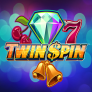 Twin Spin Logo