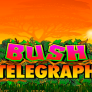 Bush Telegraph Logo