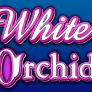White Orchid Logo