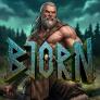 Bjorn Logo