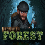 In the Forest Logo