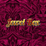 Jewel Box Logo