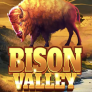 Bison Valley Logo