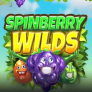 Spinberry Wilds Logo