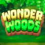 Wonder Woods Logo