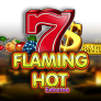 Flaming Hot Logo
