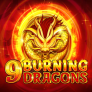 9 Burning Dragons Logo
