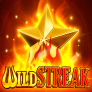 Wild Streak Logo