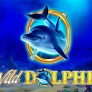Wild Dolphin Logo